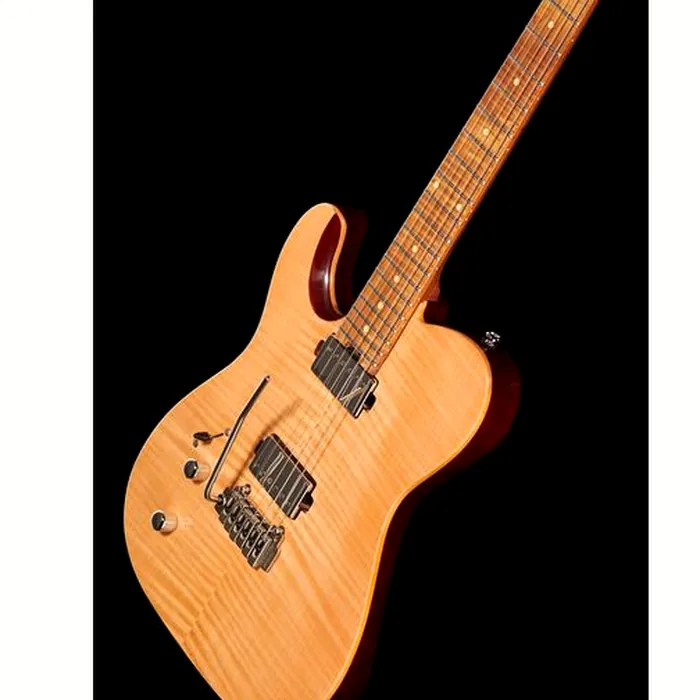 Harley Benton Fusion-T HH LH Roasted Bundle – photo 9