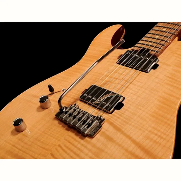Harley Benton Fusion-T HH LH Roasted Bundle – photo 10