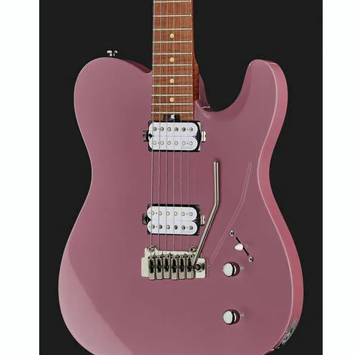 Harley Benton Fusion-T HH Roasted DP – photo 6