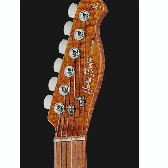 Harley Benton Fusion-T HH Roasted DP – photo 8