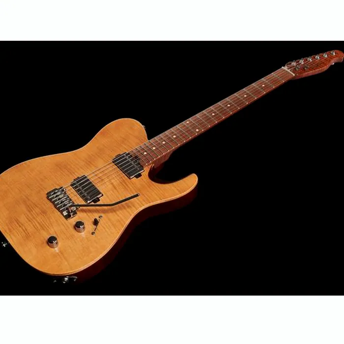 Harley Benton Fusion-T HH Roasted FNT w/Bag – photo 11