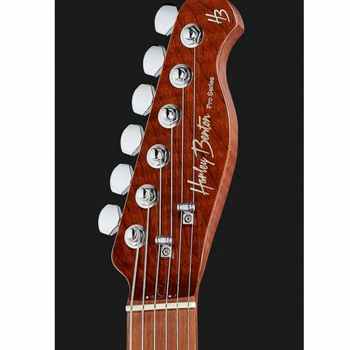 Harley Benton Fusion-T HH Roasted FNT w/Bag – photo 8