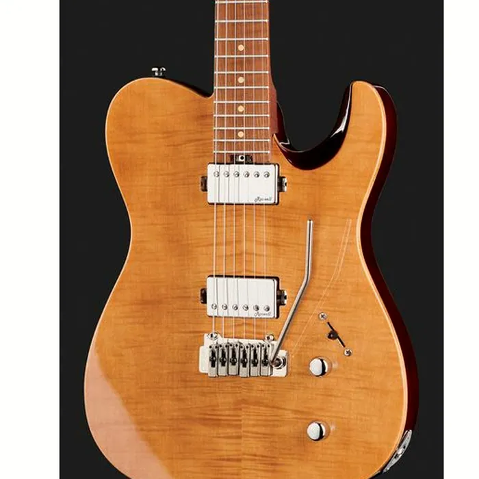 Harley Benton Fusion-T HH Roasted FNT w/Bag – photo 6