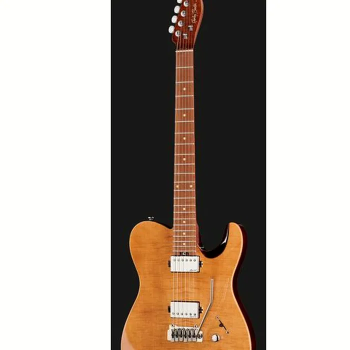 Harley Benton Fusion-T HH Roasted FNT w/Bag – photo 4