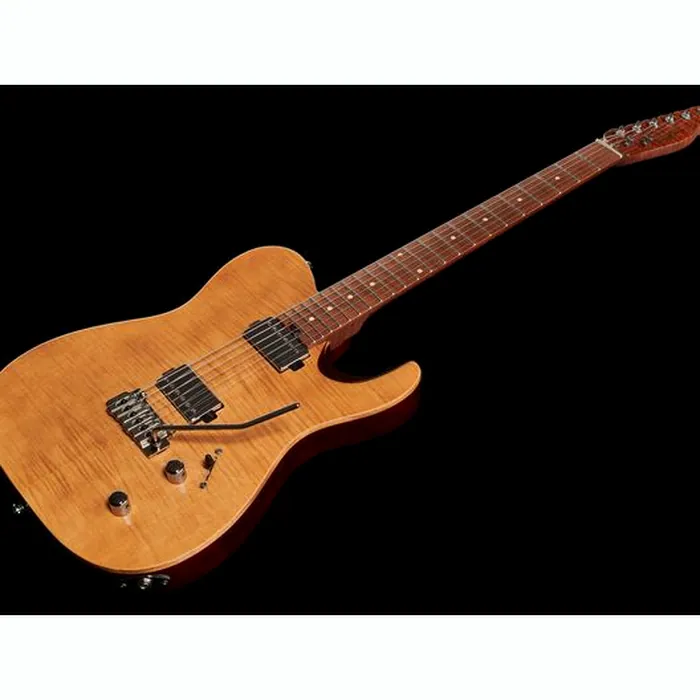 Harley Benton Fusion-T HH Roasted FNT w/Case – photo 11