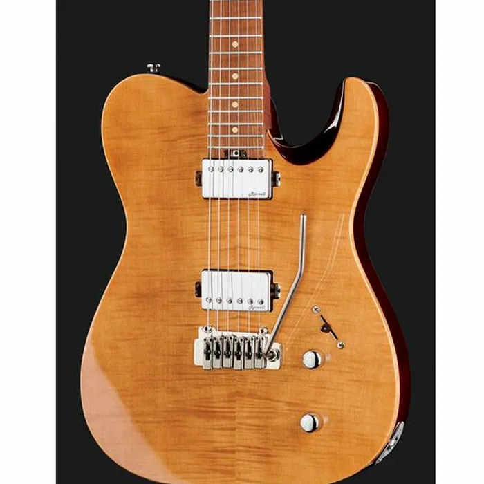 Harley Benton Fusion-T HH Roasted FNT w/Case – photo 6