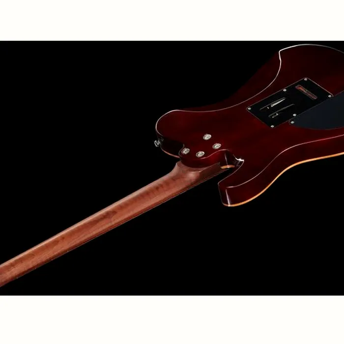 Harley Benton Fusion-T HH Roasted FNT w/Case – photo 10