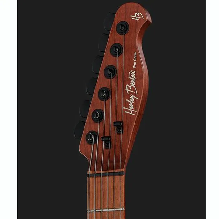 Harley Benton Fusion-T HH Roasted SW – photo 8