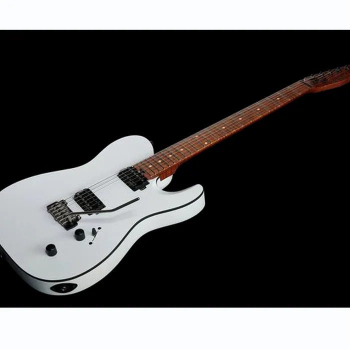 Harley Benton Fusion-T HH Roasted SW – photo 11