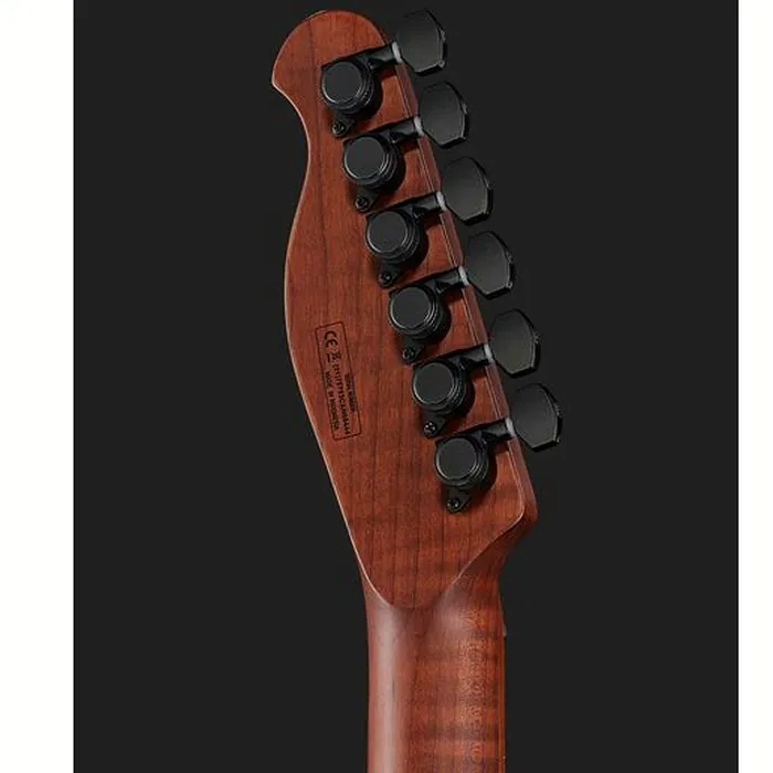Harley Benton Fusion-T HH Roasted SW – photo 9