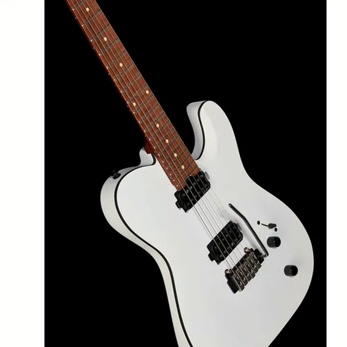 Harley Benton Fusion-T HH Roasted SW – photo 12