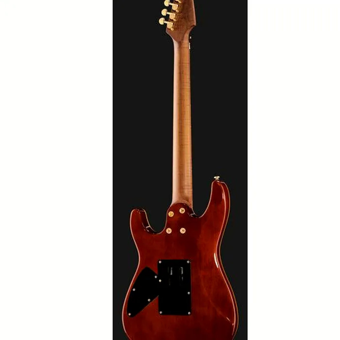 Harley Benton Guitar MAX Fusion Signa w/Bag – photo 6