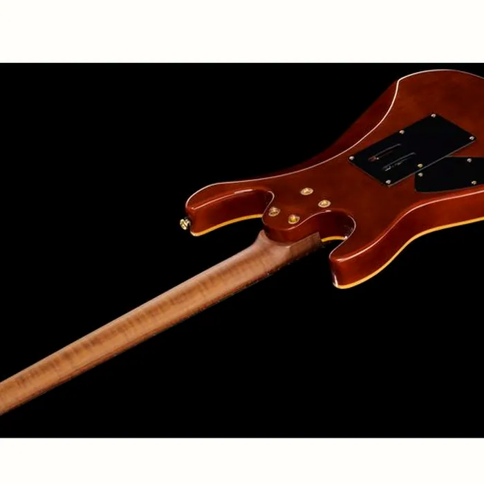 Harley Benton Guitar MAX Fusion Signa w/Case – photo 6