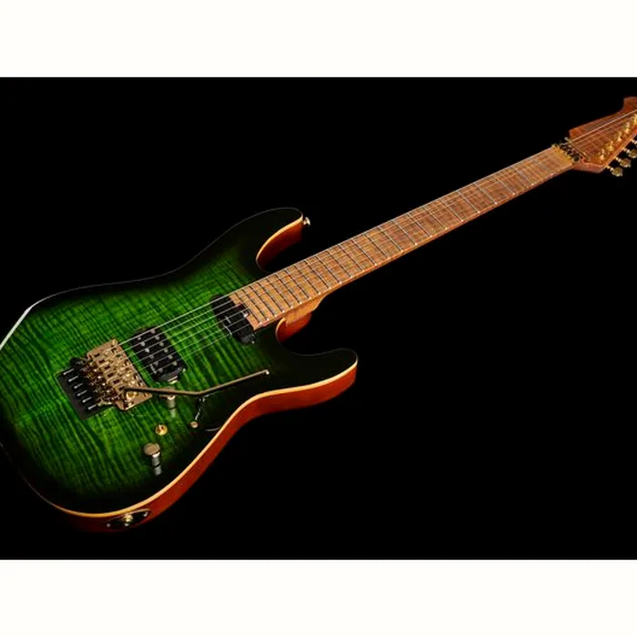 Harley Benton Guitar MAX Fusion Signa w/Case – photo 8