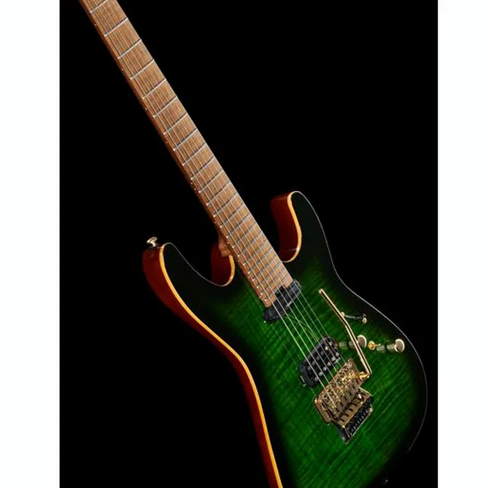 Harley Benton Guitar MAX Fusion Signa w/Case – photo 9