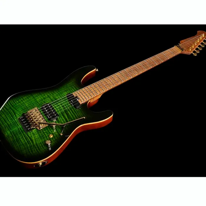 Harley Benton Guitar MAX Fusion Signature EF – photo 11