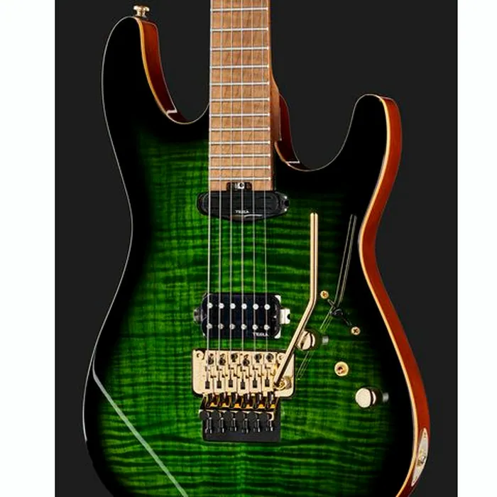 Harley Benton Guitar MAX Fusion Signature EF – photo 6