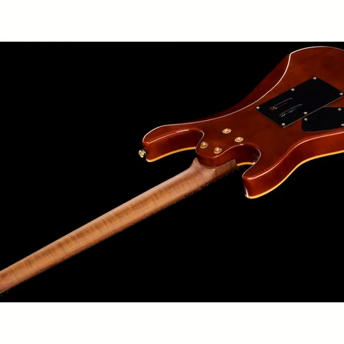 Harley Benton Guitar MAX Fusion Signature EF – photo 10