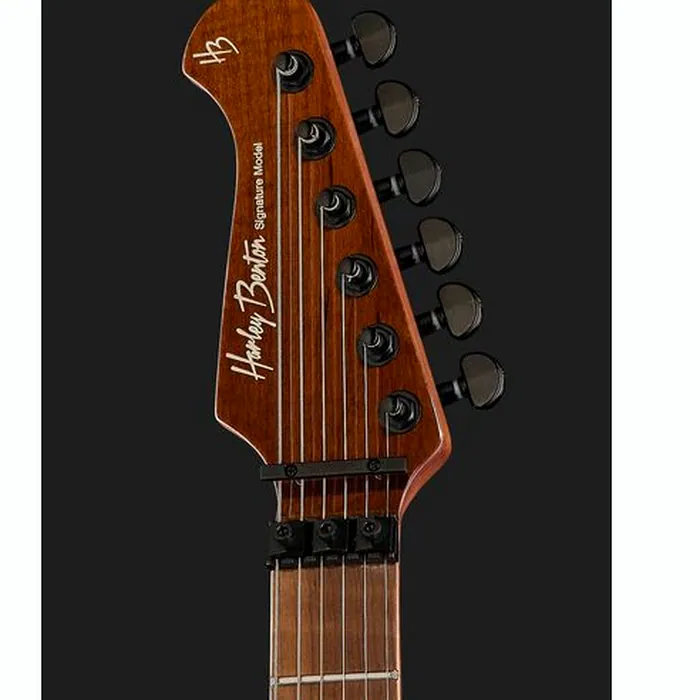 Harley Benton Guitar MAX Fusion Signature HO – photo 8