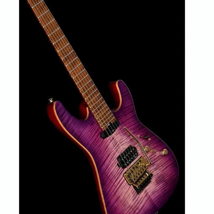 Harley Benton Guitar MAX Fusion Signature PF – photo 12
