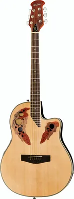 Harley Benton HBO-850NT
