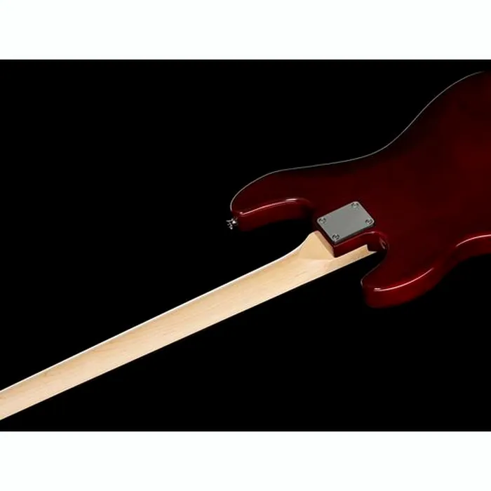 Harley Benton PJ-4 HTR Deluxe Series Set 1 – photo 9