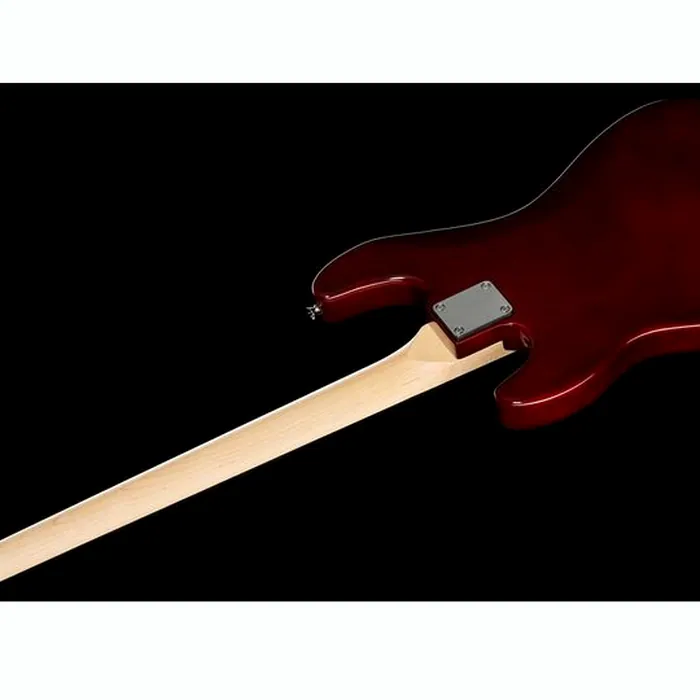 Harley Benton PJ-4 HTR Deluxe Series Set 2 – photo 10