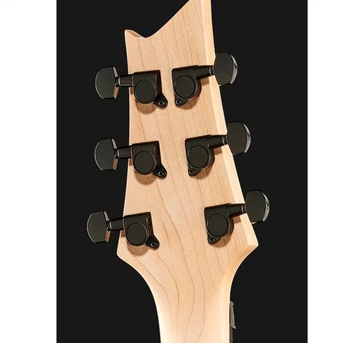 Harley Benton R-456FR BK Progressive Bundle – photo 9
