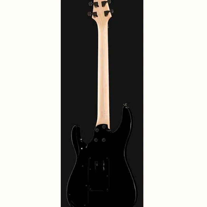 Harley Benton R-456FR BK Progressive Bundle – photo 5