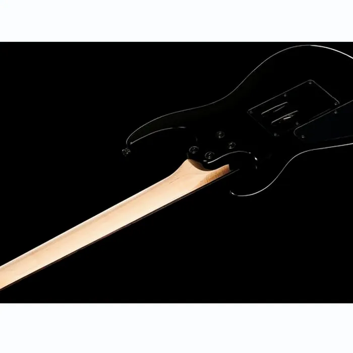 Harley Benton R-456FR BK Progressive Bundle – photo 10