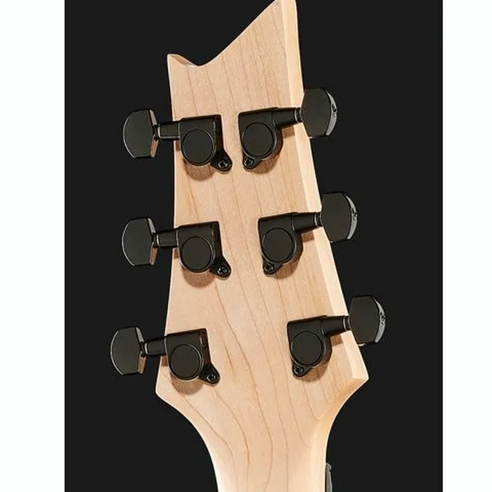 Harley Benton R-456FR BK Progressive w/Bag – photo 9