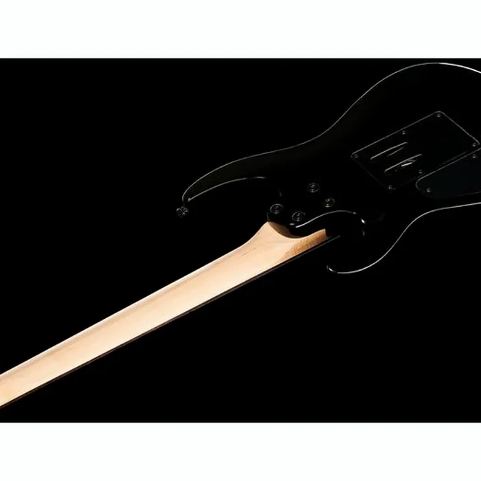 Harley Benton R-456FR BK Progressive w/Bag – photo 10