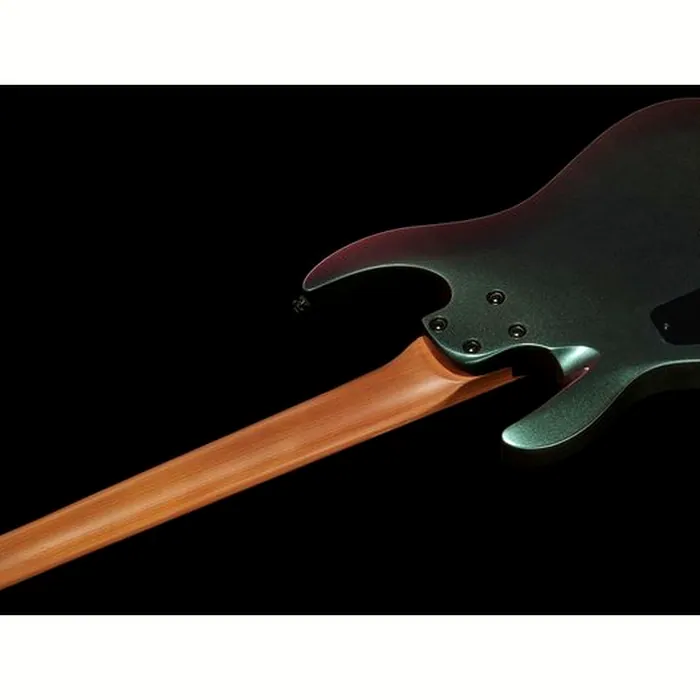 Harley Benton R-457FFB Roasted MS Bundle – photo 10