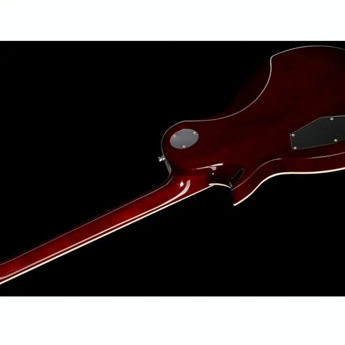 Harley Benton SC-Custom III Desert Burst – photo 10