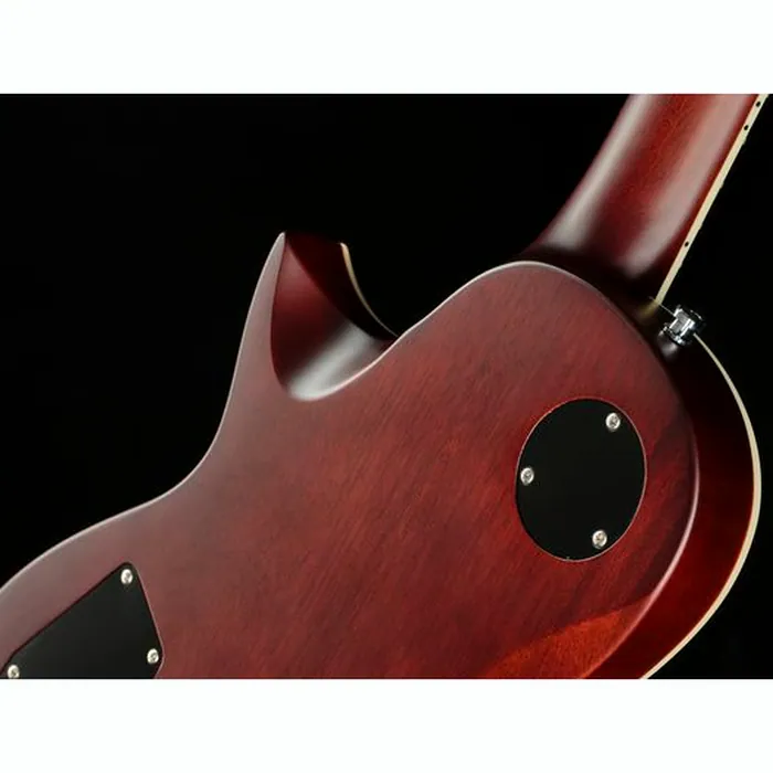 Harley Benton SC-Custom III Satin Par w/Bag – photo 12