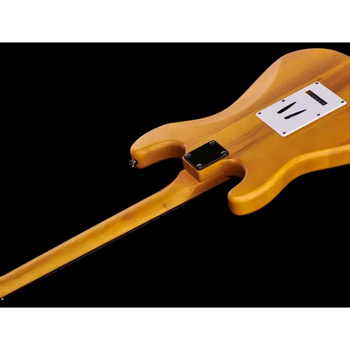 Harley Benton ST-90SA Swamp Ash DLX Bundle – photo 10