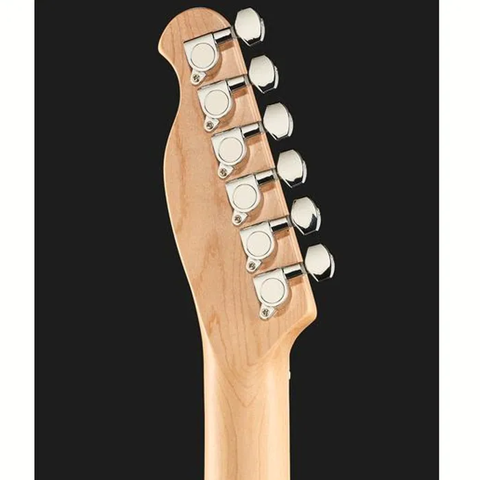 Harley Benton TE-20MN BM Standard Bundle – photo 9