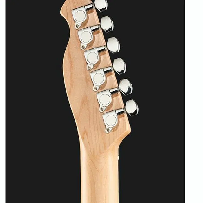 Harley Benton TE-20MN BM Standard Set – photo 9