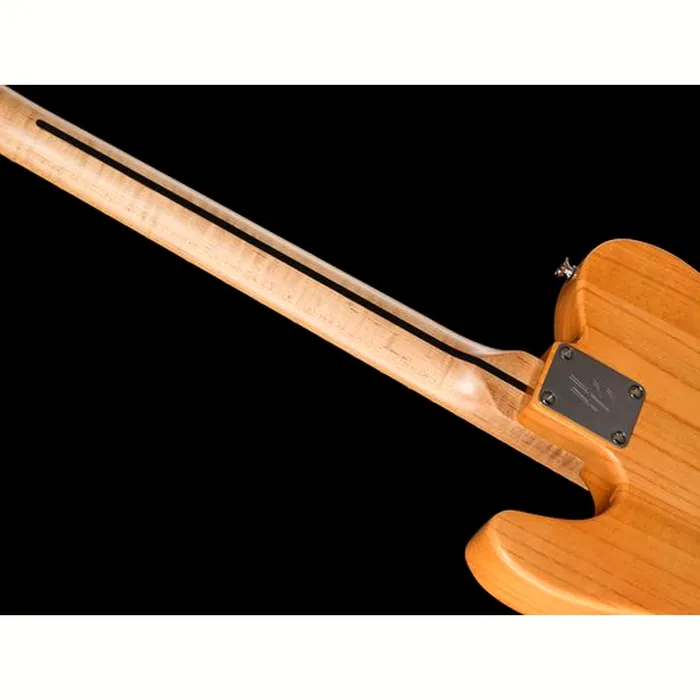Harley Benton TE-52 Tremolo NA Vintage Serie – photo 12