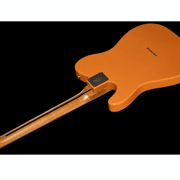 Harley Benton TE-53KR BL Tribute Seri w/Case – photo 10