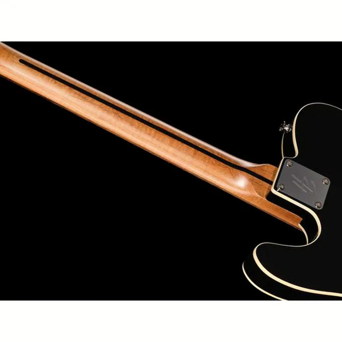 Harley Benton TE-62DB Tremolo BK – photo 12