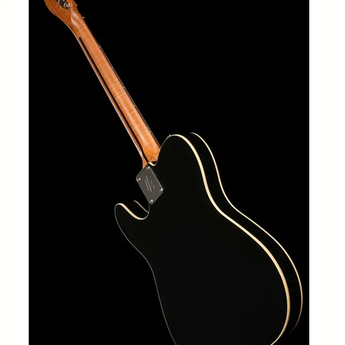 Harley Benton TE-62DB Tremolo BK – photo 11