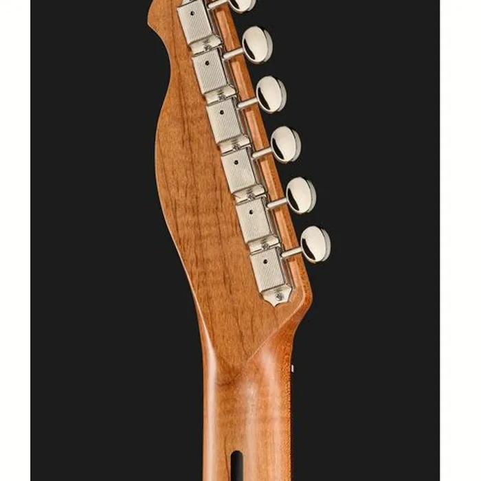 Harley Benton TE-62DB Tremolo BK – photo 9