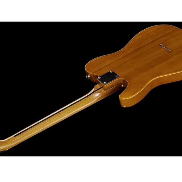 Harley Benton TE-69TL Hot Rod NT Roasted – photo 10