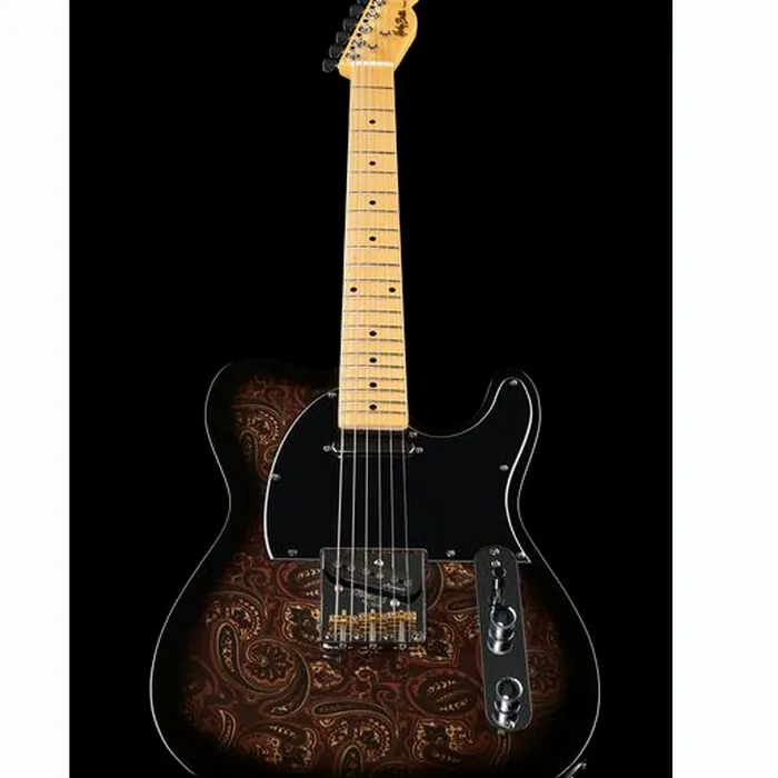 Harley Benton TE-70 Black Paisley Bundle – photo 6
