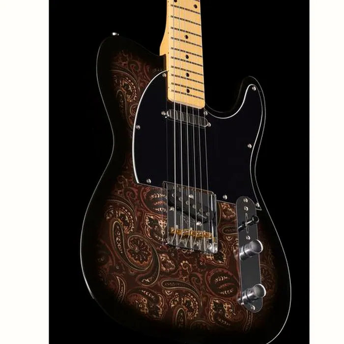 Harley Benton TE-70 Black Paisley Bundle – photo 8