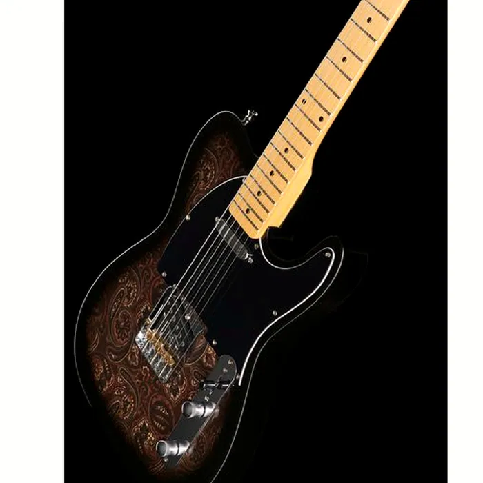 Harley Benton TE-70 Black Paisley Bundle – photo 9