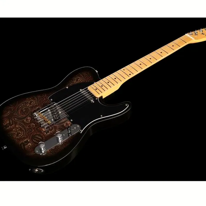 Harley Benton TE-70 Black Paisley Bundle – photo 10