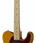 La guitare électrique Harley Benton TE-80 NT Deluxe Series | Test, Avis & Comparatif