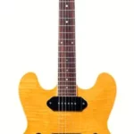 La guitare électrique Heritage Guitar H-530 AN | Test, Avis & Comparatif